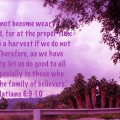 Don't become weary; work hard to see the Harvest