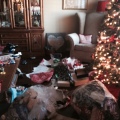 The Mess after Christmas